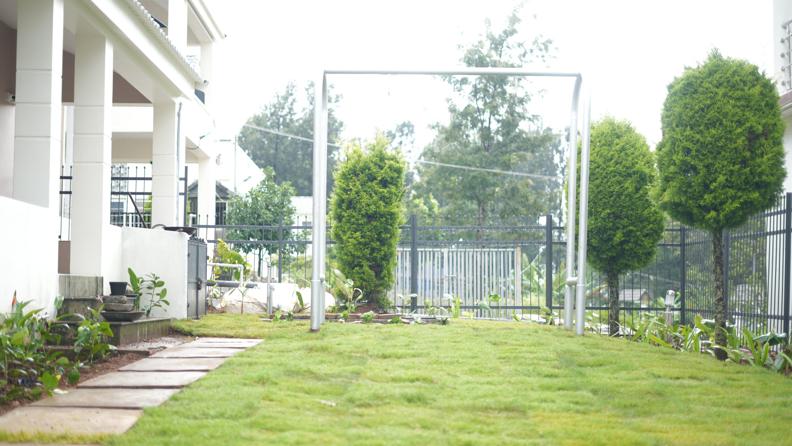 DSC00100 DSC00100